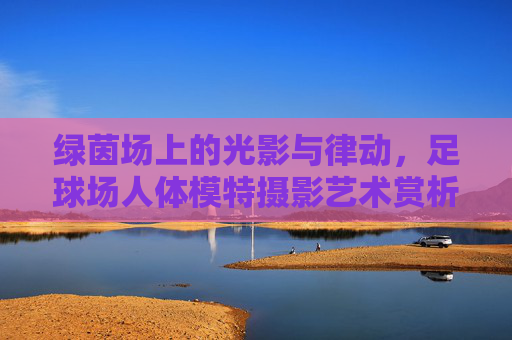 绿茵场上的光影与律动,足球场人体模特摄影艺术赏析