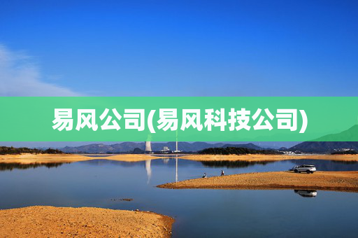 易风公司(易风科技公司)