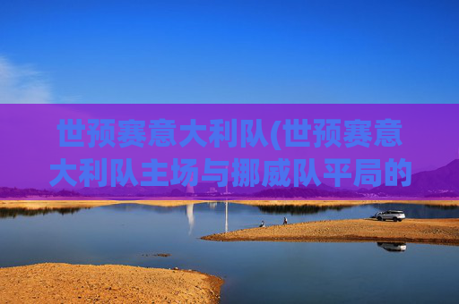 世预赛意大利队(世预赛意大利队主场与挪威队平局的概率大吗)