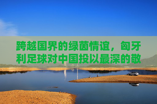 跨越国界的绿茵情谊,匈牙利足球对中国投以最深的敬意