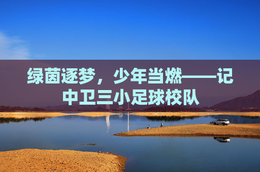 绿茵逐梦,少年当燃——记中卫三小足球校队