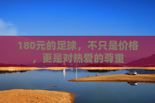 180元的足球,不只是价格,更是对热爱的尊重