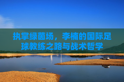 执掌绿茵场,李楠的国际足球教练之路与战术哲学