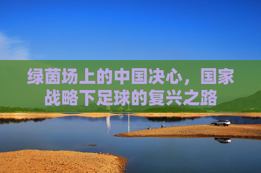绿茵场上的中国决心,国家战略下足球的复兴之路