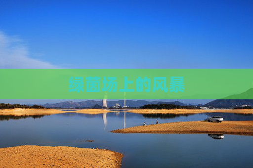 绿茵场上的风暴