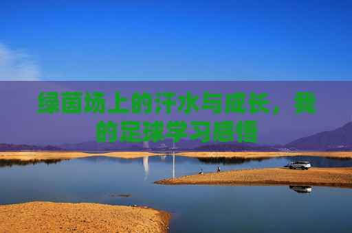 绿茵场上的汗水与成长,我的足球学习感悟
