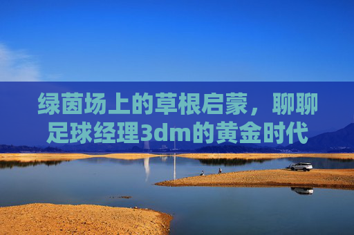 绿茵场上的草根启蒙,聊聊足球经理3dm的黄金时代