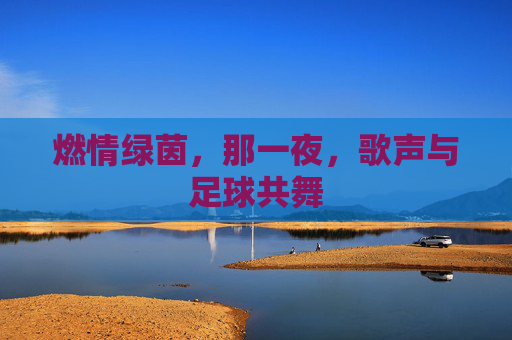 燃情绿茵,那一夜,歌声与足球共舞
