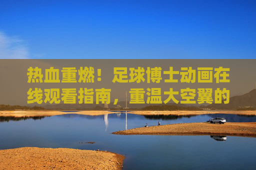 热血重燃!足球博士动画在线观看指南,重温大空翼的巅峰对决