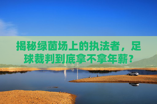 揭秘绿茵场上的执法者,足球裁判到底拿不拿年薪?