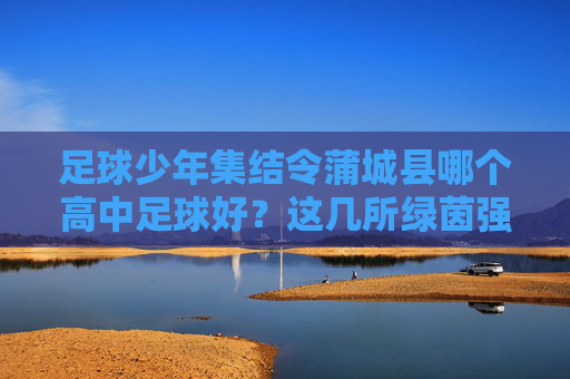足球少年集结令蒲城县哪个高中足球好?这几所绿茵强校实力不容小觑!