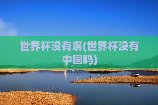 世界杯没有啊(世界杯没有中国吗)