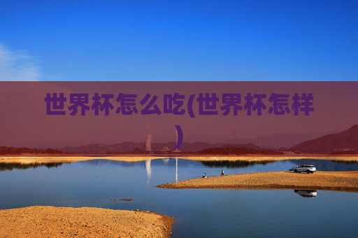 世界杯怎么吃(世界杯怎样)