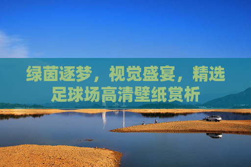 绿茵逐梦,视觉盛宴,精选足球场高清壁纸赏析