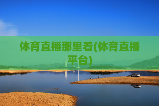 体育直播那里看(体育直播平台)