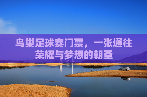 鸟巢足球赛门票,一张通往荣耀与梦想的朝圣