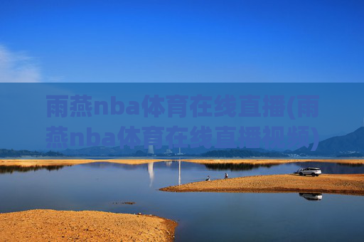 雨燕nba体育在线直播(雨燕nba体育在线直播视频)