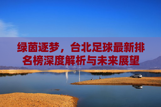 绿茵逐梦,台北足球最新排名榜深度解析与未来展望