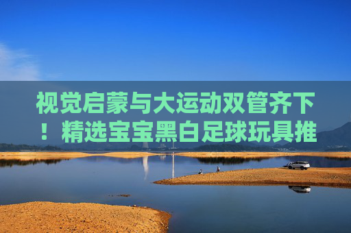 视觉启蒙与大运动双管齐下!精选宝宝黑白足球玩具推荐,助宝宝快乐成长