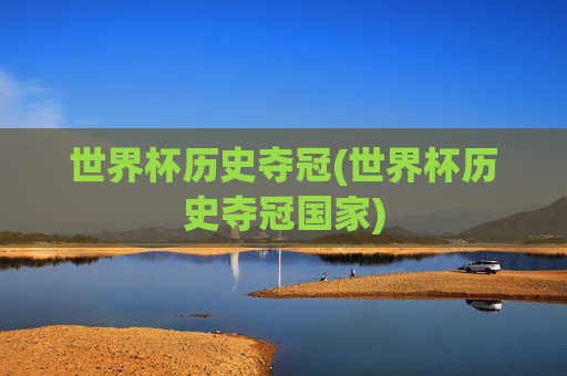 世界杯历史夺冠(世界杯历史夺冠国家)