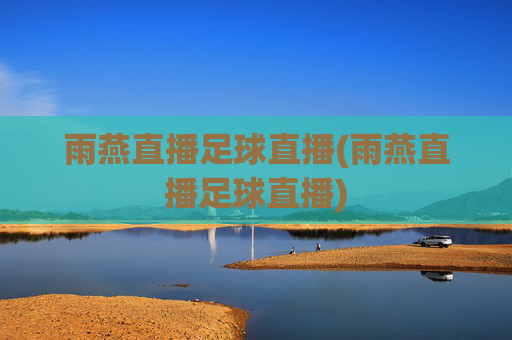 雨燕直播足球直播(雨燕直播足球直播)