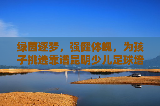 绿茵逐梦,强健体魄,为孩子挑选靠谱昆明少儿足球培训机构的全方位指南