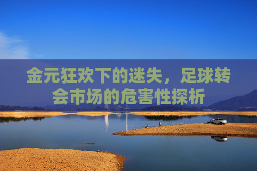 金元狂欢下的迷失,足球转会市场的危害性探析