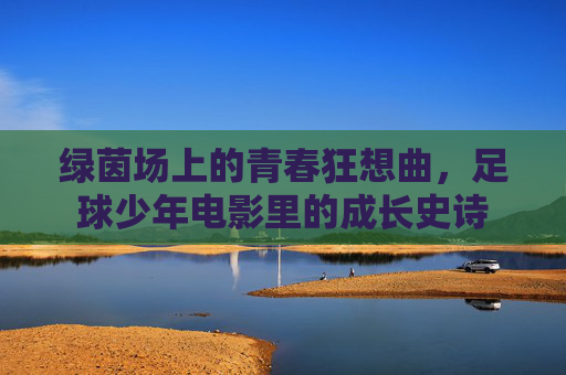 绿茵场上的青春狂想曲,足球少年电影里的成长史诗