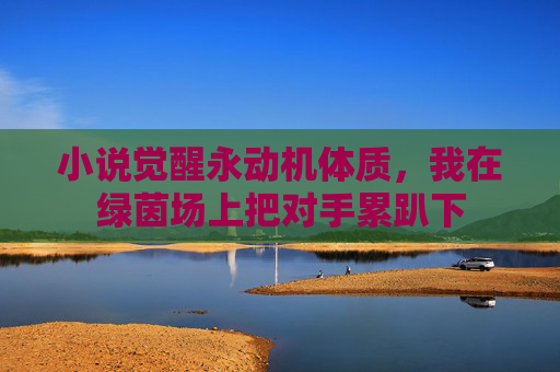 小说觉醒永动机体质,我在绿茵场上把对手累趴下