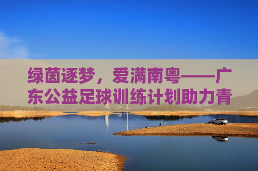 绿茵逐梦,爱满南粤——广东公益足球训练计划助力青少年成长