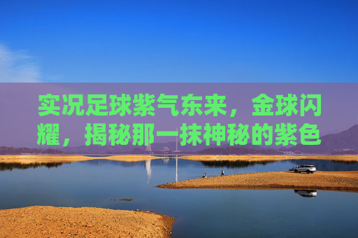 实况足球紫气东来,金球闪耀,揭秘那一抹神秘的紫色背景背后的荣耀与传奇