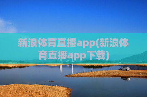 新浪体育直播app(新浪体育直播app下载)