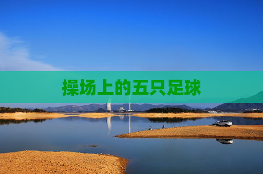 操场上的五只足球
