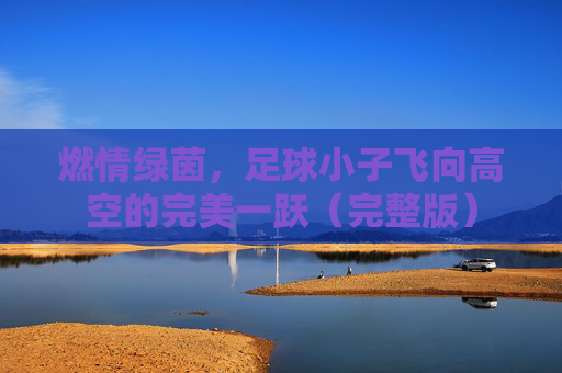 燃情绿茵,足球小子飞向高空的完美一跃(完整版)