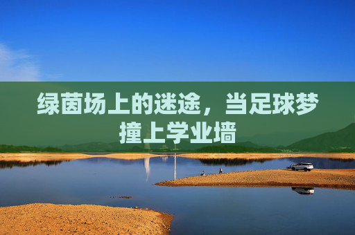 绿茵场上的迷途,当足球梦撞上学业墙