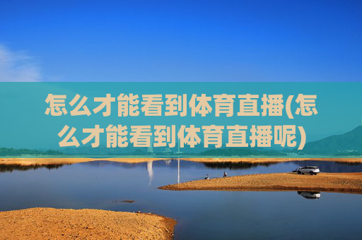 怎么才能看到体育直播(怎么才能看到体育直播呢)