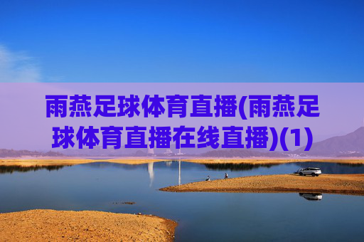 雨燕足球体育直播(雨燕足球体育直播在线直播)(1)