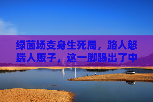 绿茵场变身生死局,路人怒踹人贩子,这一脚踢出了中国式守护