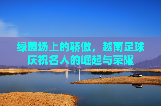 绿茵场上的骄傲,越南足球庆祝名人的崛起与荣耀