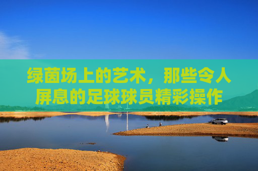 绿茵场上的艺术,那些令人屏息的足球球员精彩操作