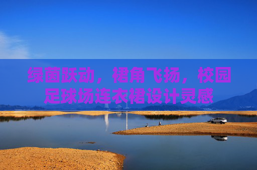 绿茵跃动,裙角飞扬,校园足球场连衣裙设计灵感