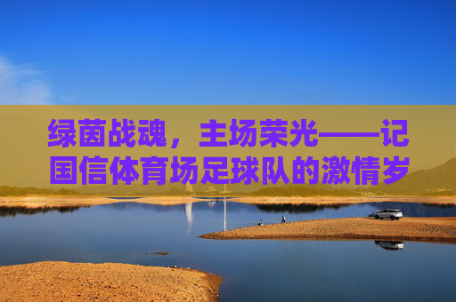 绿茵战魂,主场荣光——记国信体育场足球队的激情岁月