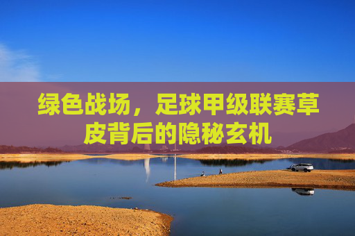 绿色战场,足球甲级联赛草皮背后的隐秘玄机