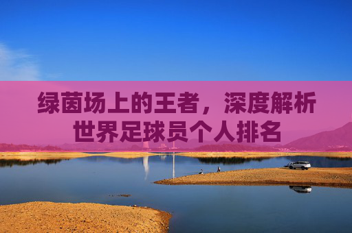 绿茵场上的王者,深度解析世界足球员个人排名
