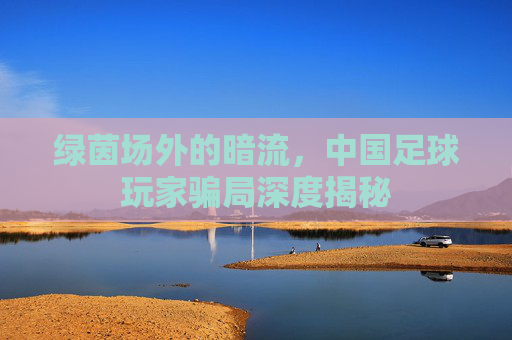 绿茵场外的暗流,中国足球玩家骗局深度揭秘
