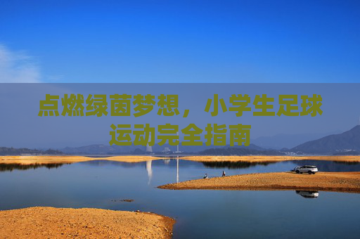 点燃绿茵梦想,小学生足球运动完全指南