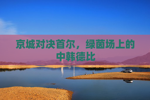 京城对决首尔,绿茵场上的中韩德比
