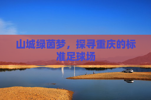 山城绿茵梦,探寻重庆的标准足球场