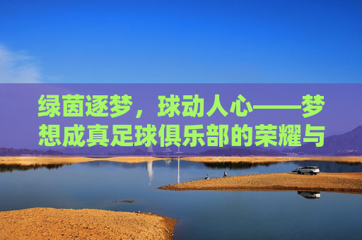 绿茵逐梦,球动人心——梦想成真足球俱乐部的荣耀与成长