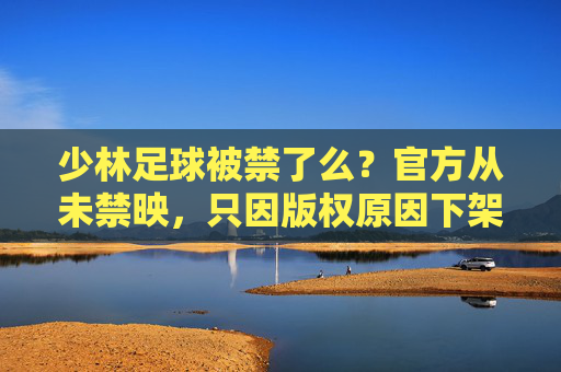 少林足球被禁了么?官方从未禁映,只因版权原因下架